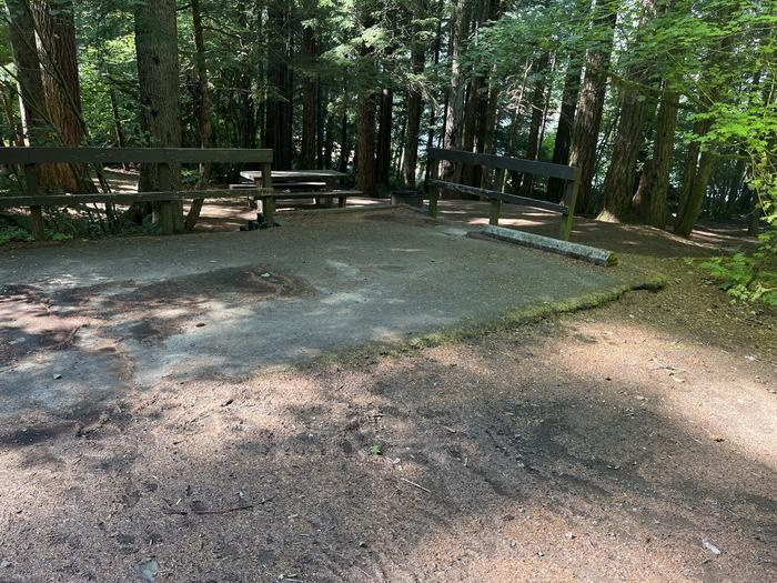 A photo of Site 035 of Loop East at Cove Creek (OR) with Picnic Table