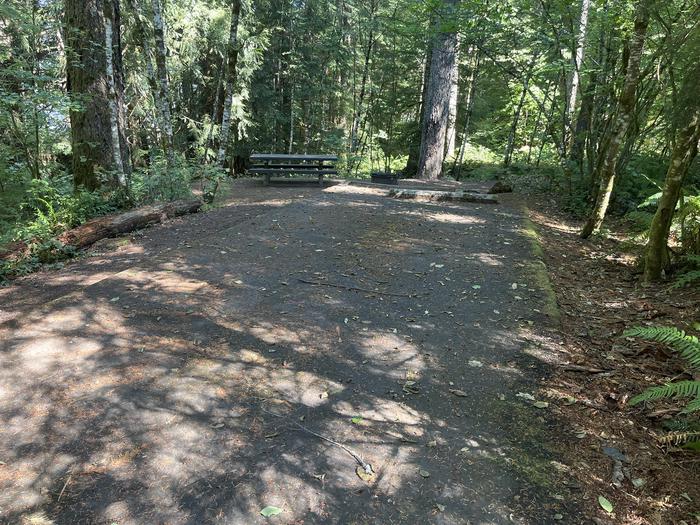 A photo of Site 025 of Loop East at Cove Creek (OR) with Picnic Table