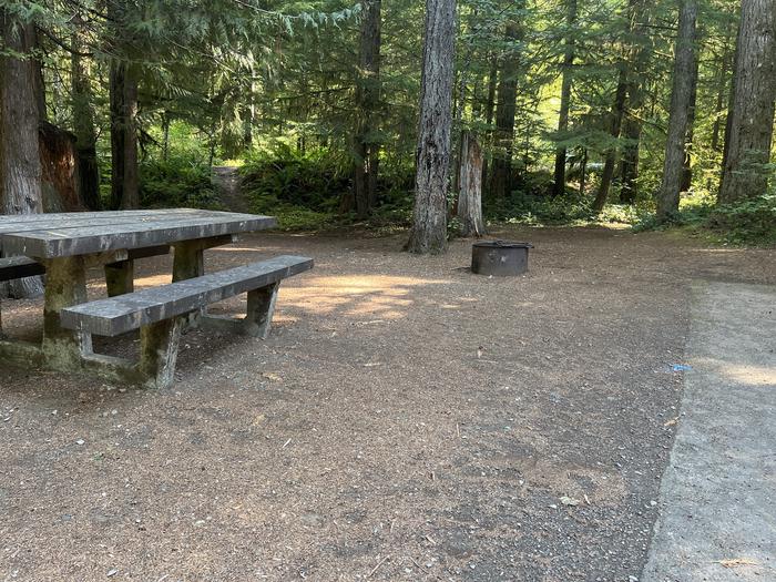 A photo of Site 020 of Loop East at Cove Creek (OR) with Picnic Table, Fire Pit, Tent Pad