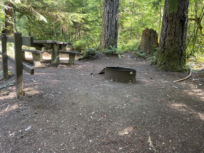 A photo of Site 031 of Loop East at Cove Creek (OR) with Picnic Table, Fire Pit
