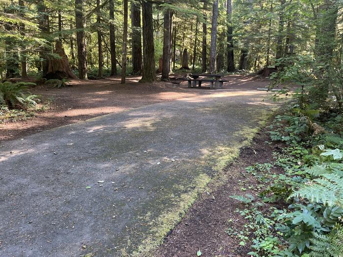 A photo of Site 019 of Loop East at Cove Creek (OR) with Picnic Table, Fire Pit