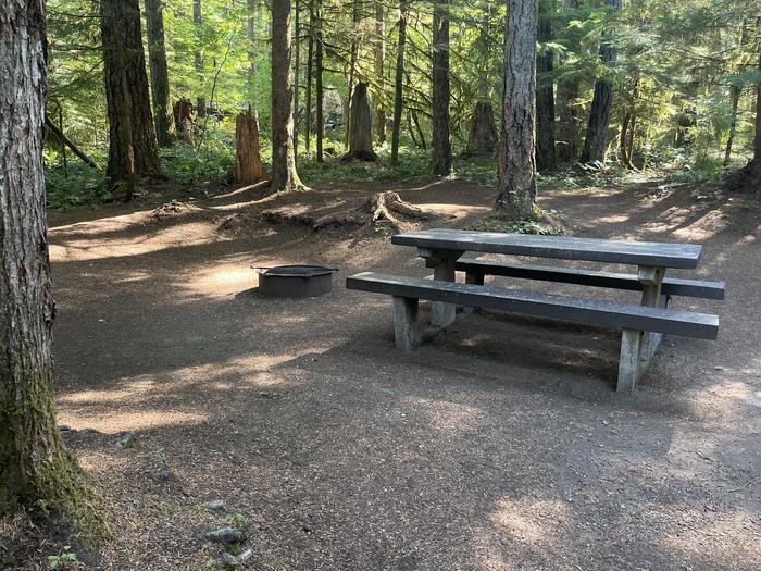 A photo of Site 019 of Loop East at Cove Creek (OR) with Picnic Table, Fire Pit, Tent Pad