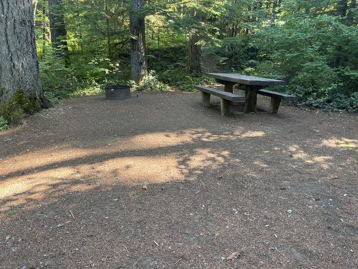 A photo of Site 023 of Loop East at Cove Creek (OR) with Picnic Table, Fire Pit