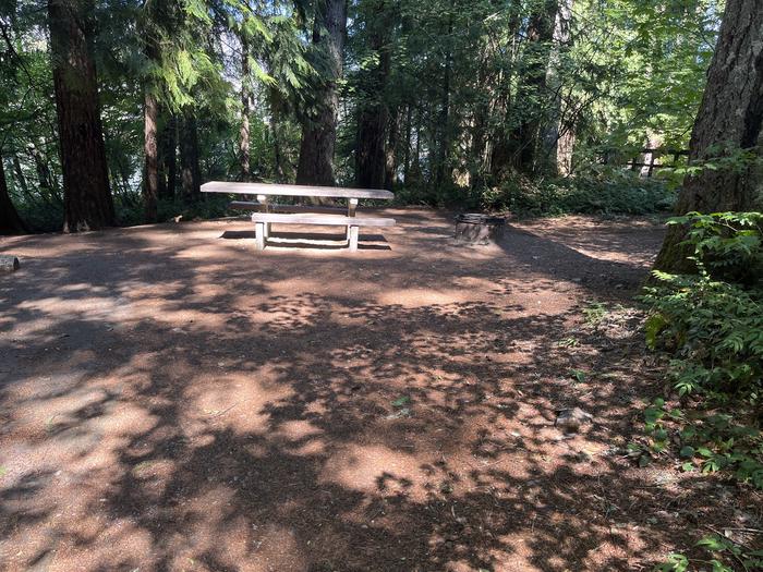 A photo of Site 032 of Loop East at Cove Creek (OR) with Picnic Table, Fire Pit, Tent Pad