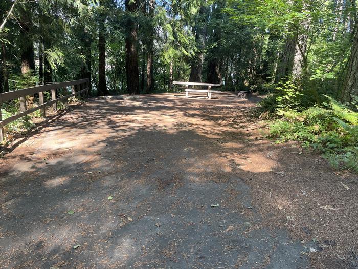 A photo of Site 032 of Loop East at Cove Creek (OR) with Picnic Table