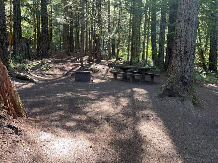 A photo of Site 018 of Loop East at Cove Creek (OR) with Fire Pit