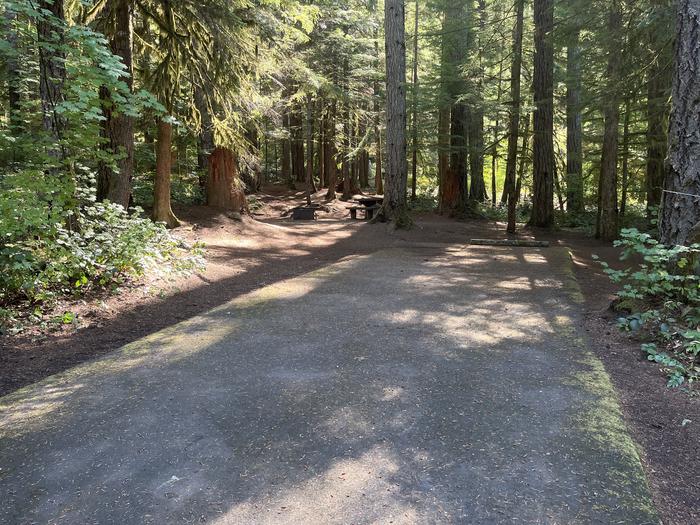 A photo of Site 018 of Loop East at Cove Creek (OR) with Picnic Table, Fire Pit