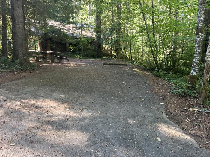A photo of Site 021 of Loop East at Cove Creek (OR) with Picnic Table