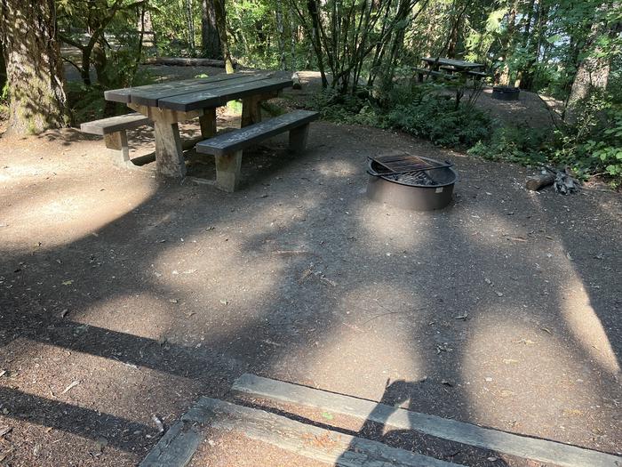 A photo of Site 024 of Loop East at Cove Creek (OR) with Picnic Table, Fire Pit