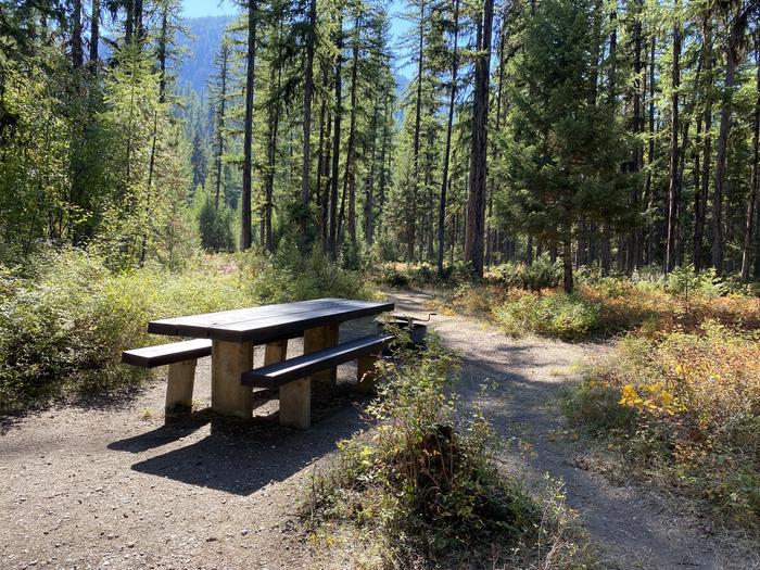 A photo of Site 013 of Loop TALLY LAKE CAMPGROUND at TALLY LAKE CAMPGROUND with Picnic Table, Fire Pit