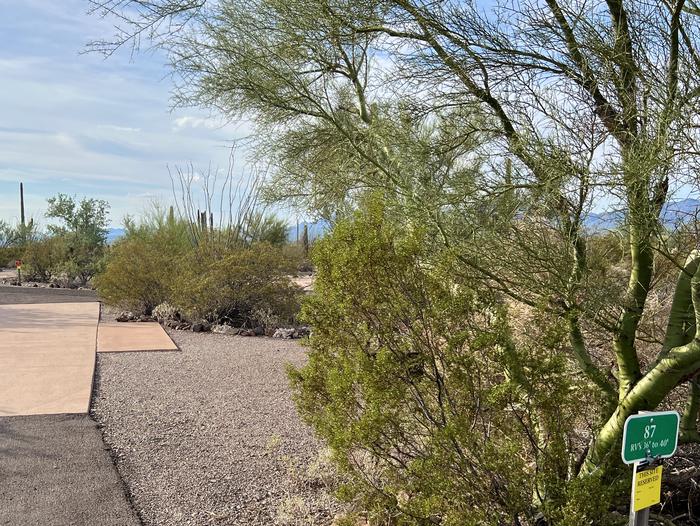 Pull-thru campsite with picnic table and grill, cactus and desert vegetation surround site.