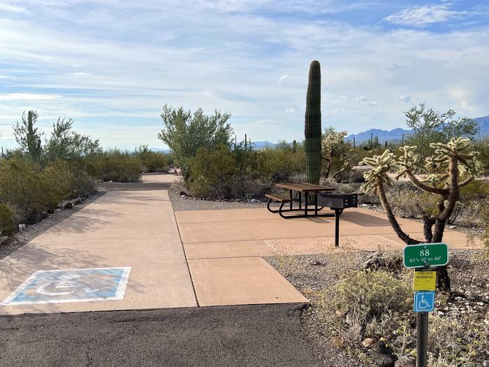 Pull-thru campsite with picnic table and grill, cactus and desert vegetation surround site.  Handicap logo painted on the ground