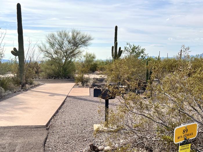 Pull-thru campsite with picnic table and grill, cactus and desert vegetation surround site.