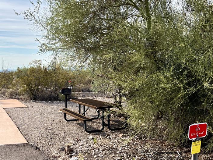 Pull-thru campsite with picnic table and grill, cactus and desert vegetation surround site.