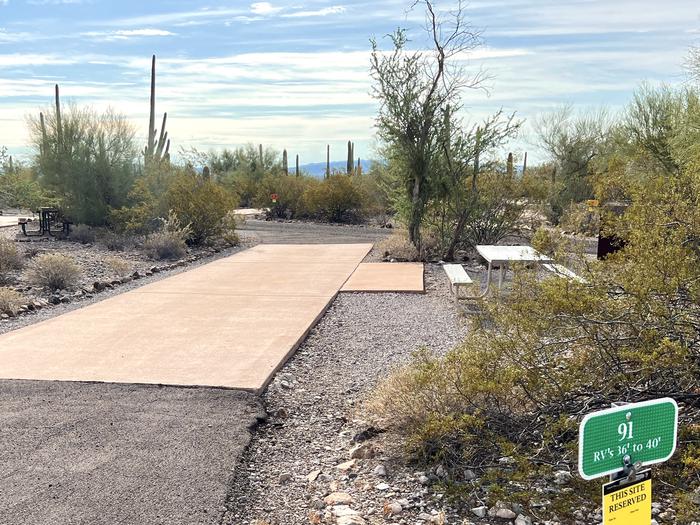 Pull-thru campsite with picnic table and grill, cactus and desert vegetation surround site.  The entrance into Site 091