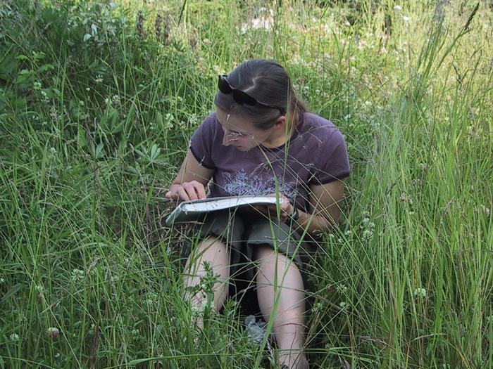 A woman sketching outdoors among tall grasses.Public Programs teach new skills in a relaxed atmosphere.