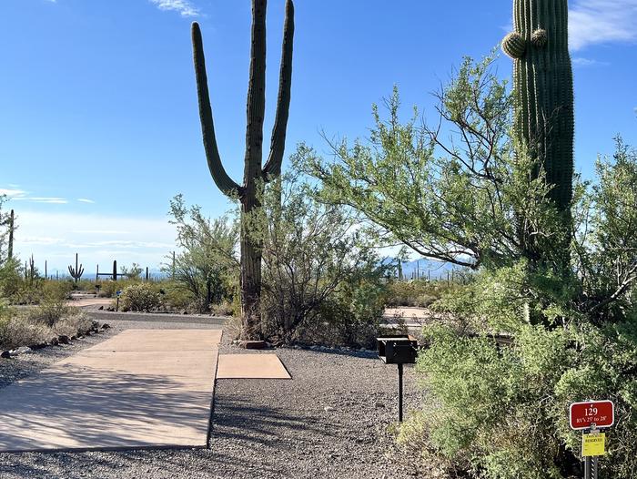 Pull-thru campsite with picnic table and grill, surrounded by cactus and desert vegetation.