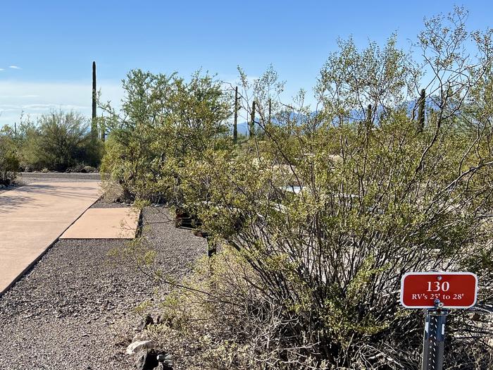 Pull-thru campsite with picnic table and grill, surrounded by cactus and desert vegetation.