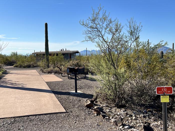 Pull-thru campsite with picnic table and grill, surrounded by cactus and desert vegetation.