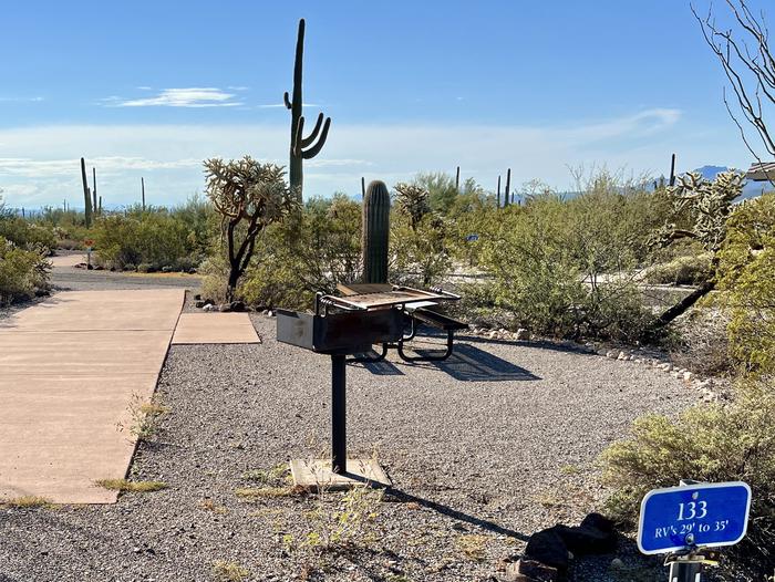 Pull-thru campsite with picnic table and grill, surrounded by cactus and desert vegetation.