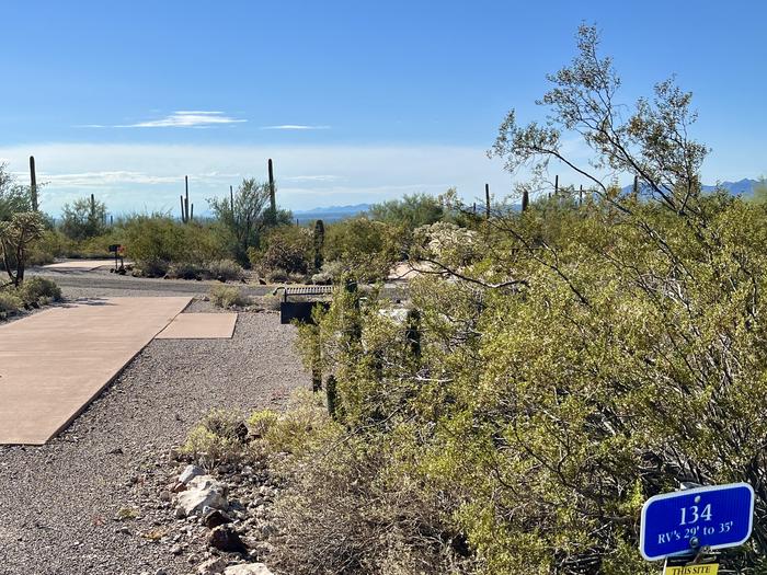 Pull-thru campsite with picnic table and grill, surrounded by cactus and desert vegetation.