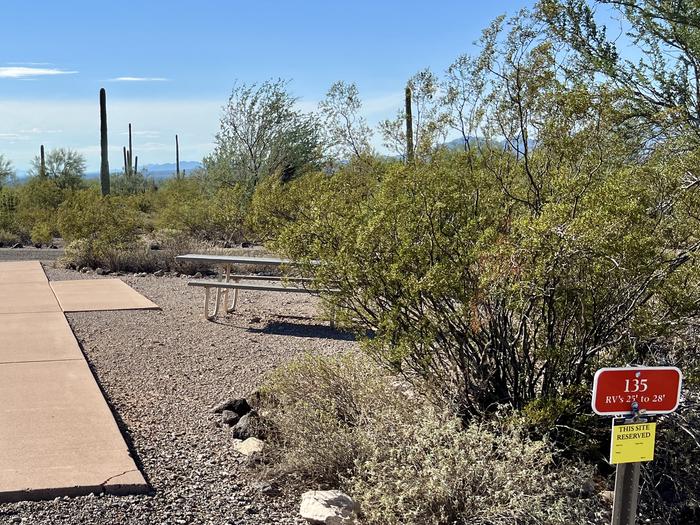 Pull-thru campsite with picnic table and grill, surrounded by cactus and desert vegetation.The entrance into Site 135