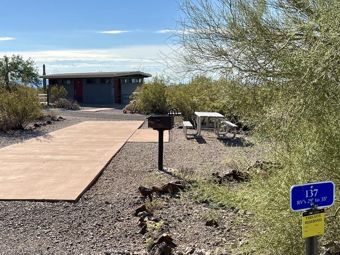 Pull-thru campsite with picnic table and grill, surrounded by cactus and desert vegetation.