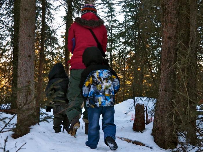 An adult and two children walking through the forest.Discovery Hikes take advantage of the woods by the Science Center all year long!