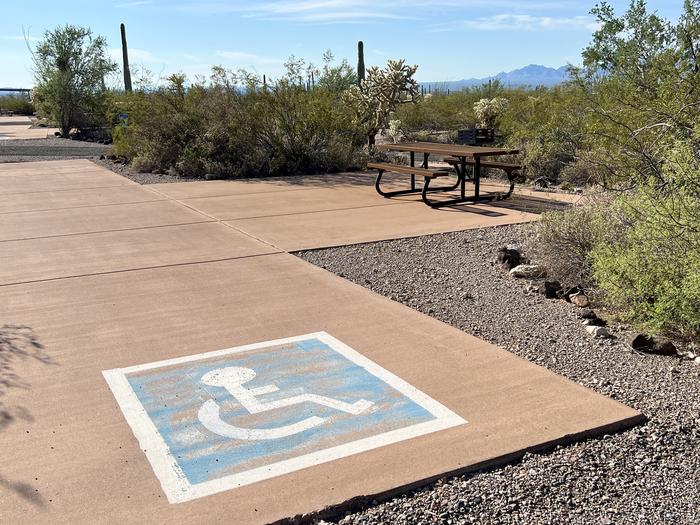 Pull-thru campsite with picnic table and grill, surrounded by cactus and desert vegetation. Handicap logo painted on the ground