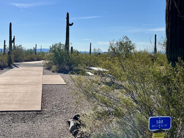 Pull-thru campsite with picnic table and grill, surrounded by cactus and desert vegetation.