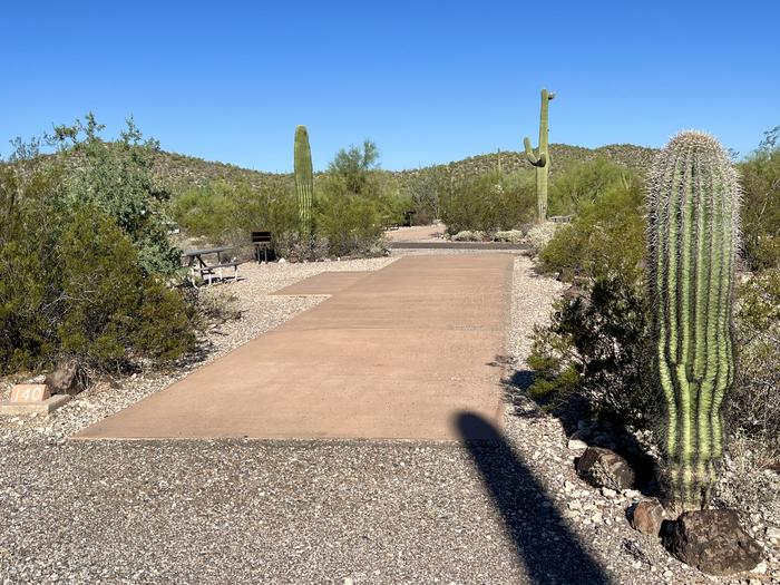 The campsite driveway surrounded by desert plants.The campsite driveway exits into a one-way road out of the campground loop