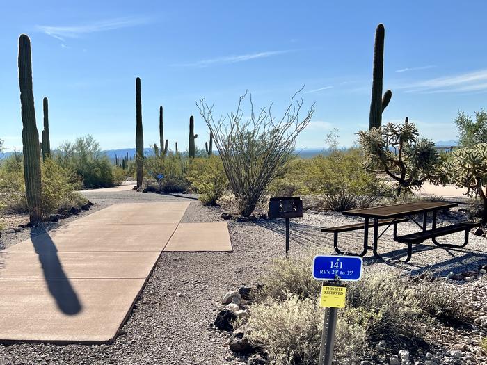 Pull-thru campsite with picnic table and grill, surrounded by cactus and desert vegetation.