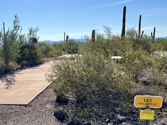 Pull-thru campsite with picnic table and grill, surrounded by cactus and desert vegetation.