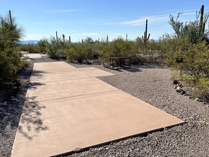 Pull-thru campsite with picnic table and grill, surrounded by cactus and desert vegetation.