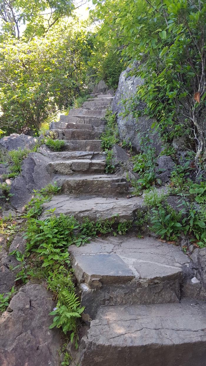 Some Trail Steps on Trail up to Sharp Top Mountain
