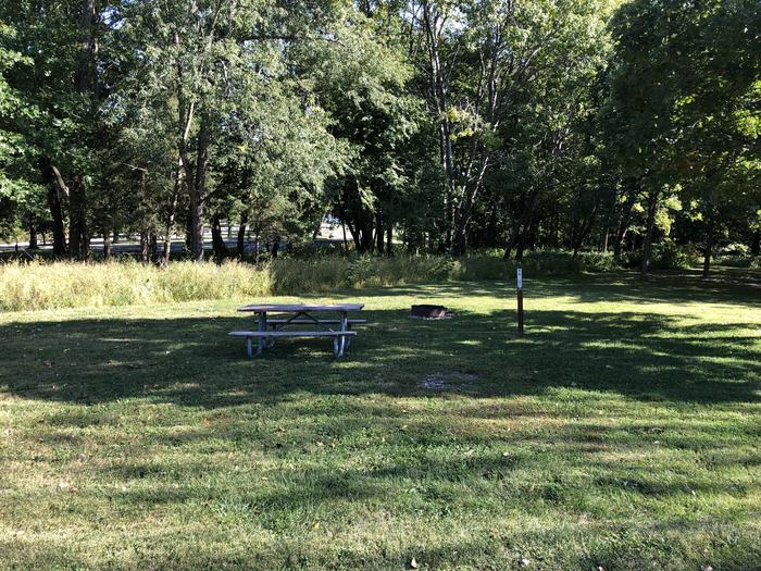 A photo of Site 056 of Loop SANDY BEACH at SANDY BEACH CAMP with Picnic Table, Fire Pit, Shade