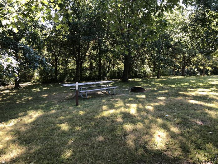 A photo of Site 052 of Loop SANDY BEACH at SANDY BEACH CAMP with Picnic Table, Fire Pit, Shade