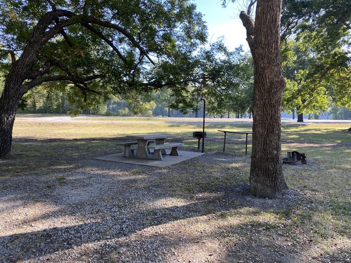 A photo of Site 10 of Loop TL at Tullahasse Loop with Picnic Table, Fire Pit, Shade, Lantern Pole