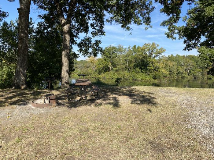 A photo of Site 6 of Loop TL at Tullahasse Loop with Picnic Table, Fire Pit, Shade