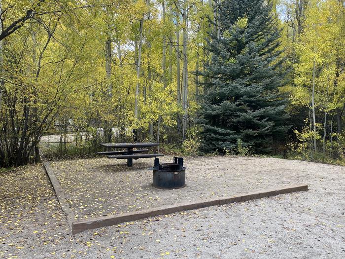 Campsite surrounded by aspen trees with picnic table and firepitA photo of Site 021 with picnic table and fire pit