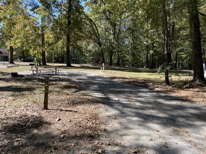 A photo of Site 079 of Loop ANTI at GUNTER HILL with Picnic Table, Electricity Hookup, Fire Pit, Shade, Lantern Pole, Water Hookup