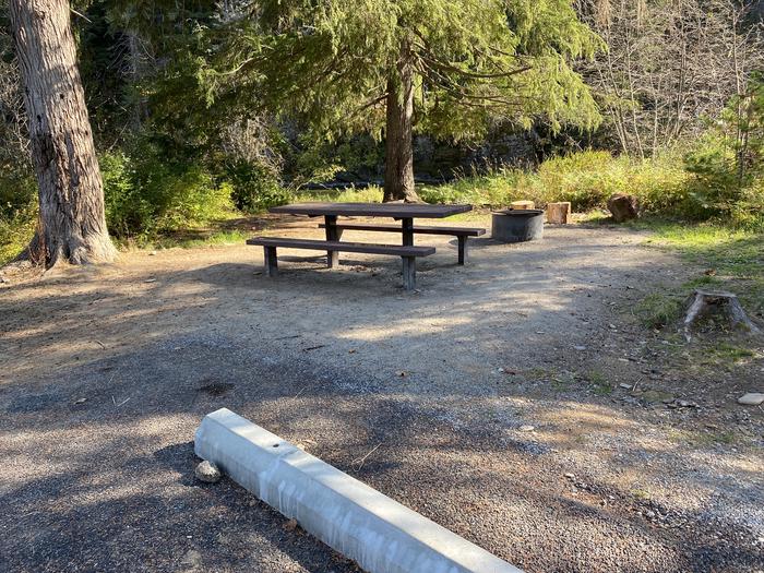 A photo of Site A010 of Loop A at KIT PRICE with Picnic Table, Fire Pit, Shade