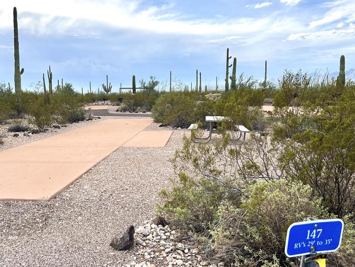 Pull-thru campsite with picnic table and grill, surrounded by cactus and desert vegetation.