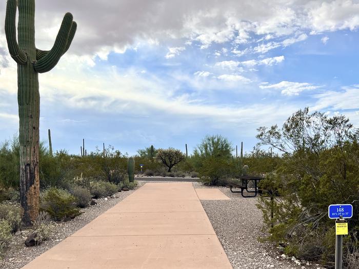 Pull-thru campsite with picnic table and grill, surrounded by cactus and desert vegetation.