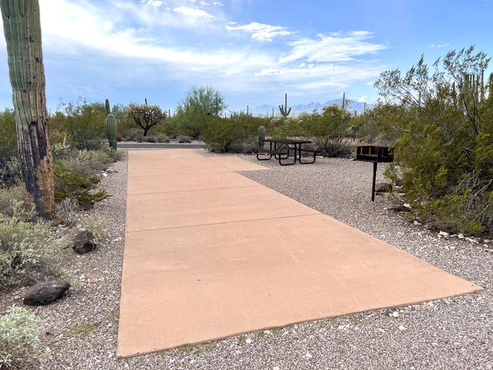 The driveway of the site surrounded by desert plants.The entrance into the site.