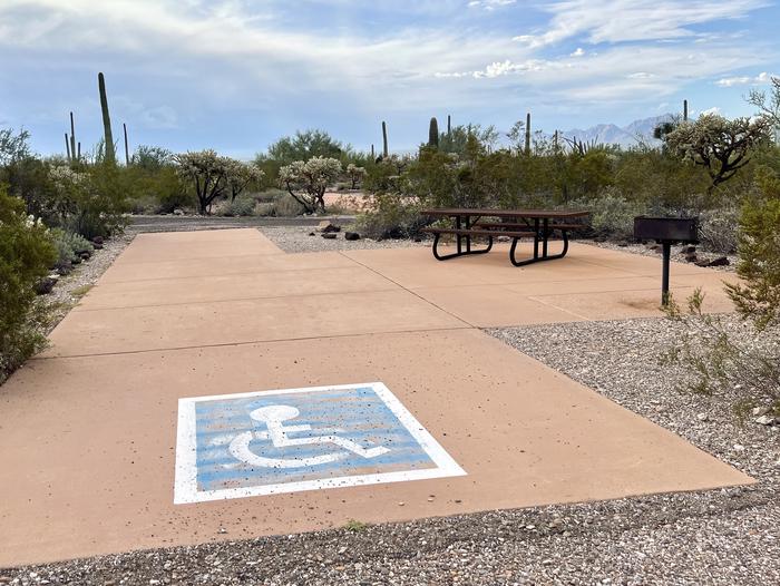 Pull-thru campsite with picnic table and grill, surrounded by cactus and desert vegetation. Handicap logo painted on the groundThe entrance into Site 149