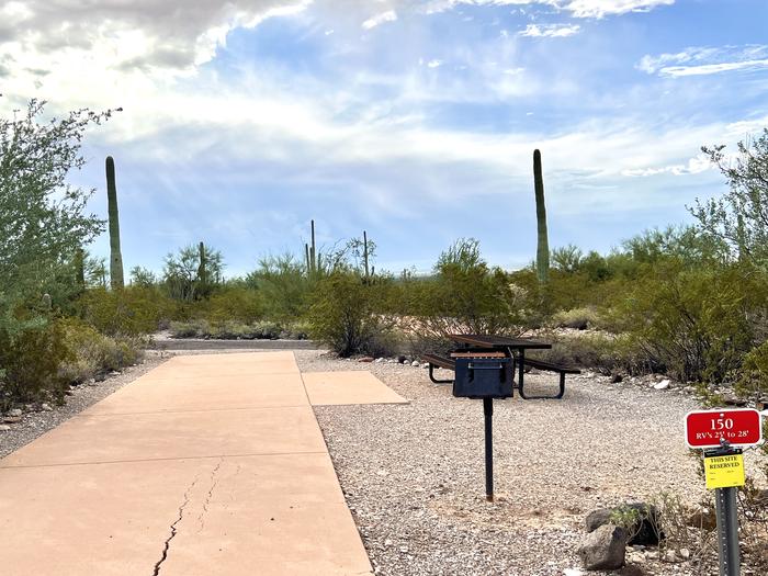 Pull-thru campsite with picnic table and grill, surrounded by cactus and desert vegetation.