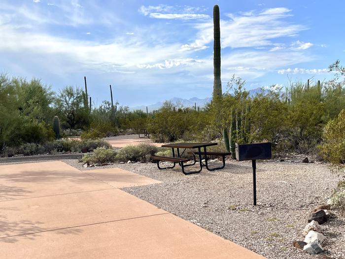 Pull-thru campsite with picnic table and grill, surrounded by cactus and desert vegetation.