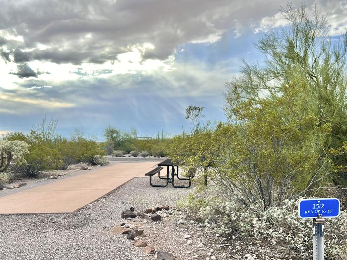 Pull-thru campsite with picnic table and grill, surrounded by cactus and desert vegetation.