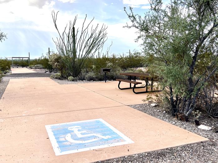 Pull-thru campsite with picnic table and grill, surrounded by cactus and desert vegetation. Handicapped logo painted on the ground